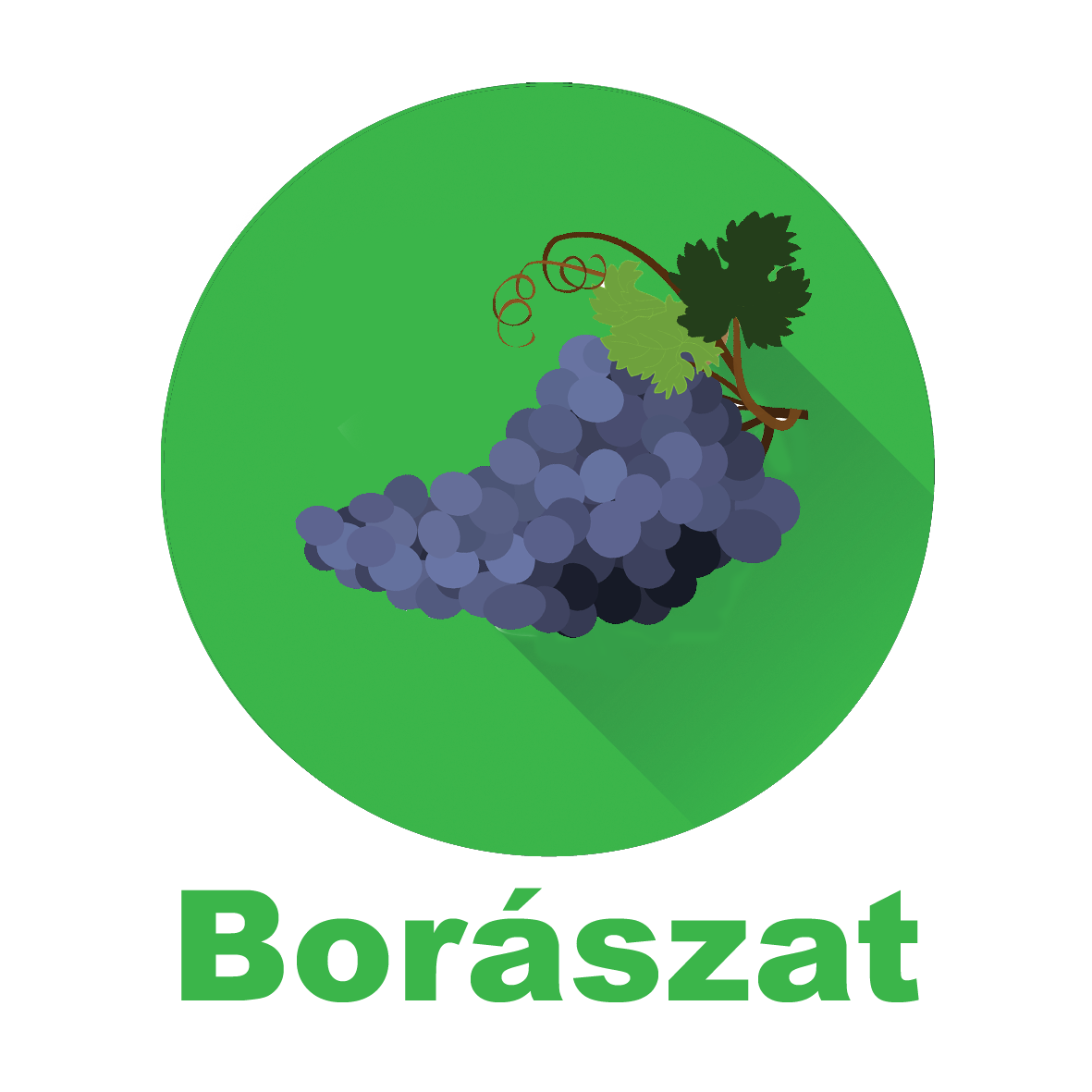 Borászat