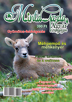 MintaGazda Magazin 2018 mÃ¡jus