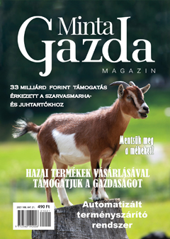 MintaGazda Magazin 2021 mÃ¡jus
