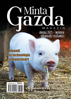 MintaGazda Magazin 2023 október
