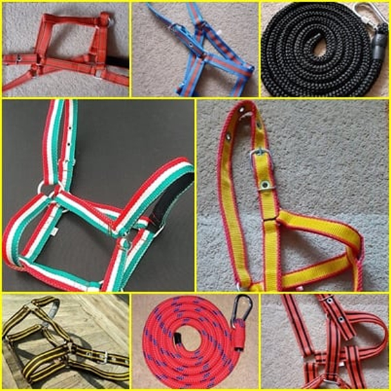Domokos Kötél, kötőfék, vezetőszár, nyakörv, póráz, istráng, jelzőkötél, ugrálókötél, villanypásztor