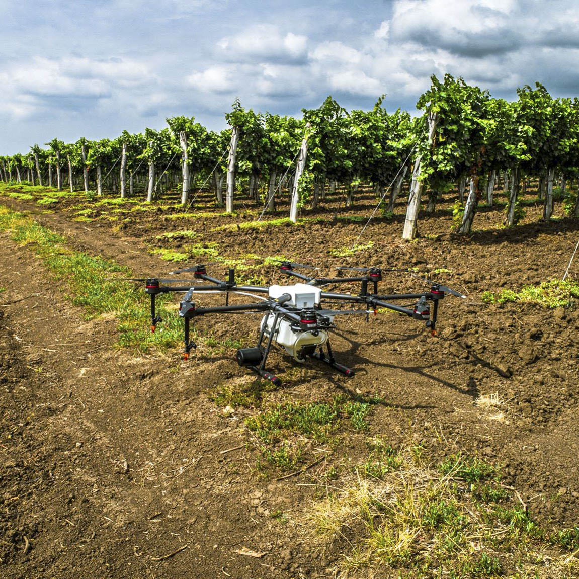 DRONE AGRO KFT. Helyspecifikus megoldások mezőgazdasági drónokkal