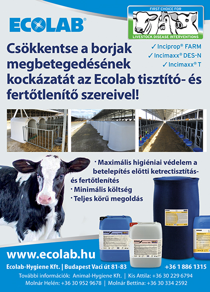 Csökkentse a borjak megbetegedésének kockázatát az Ecolab tisztító- és fertőtlenítő szereivel!