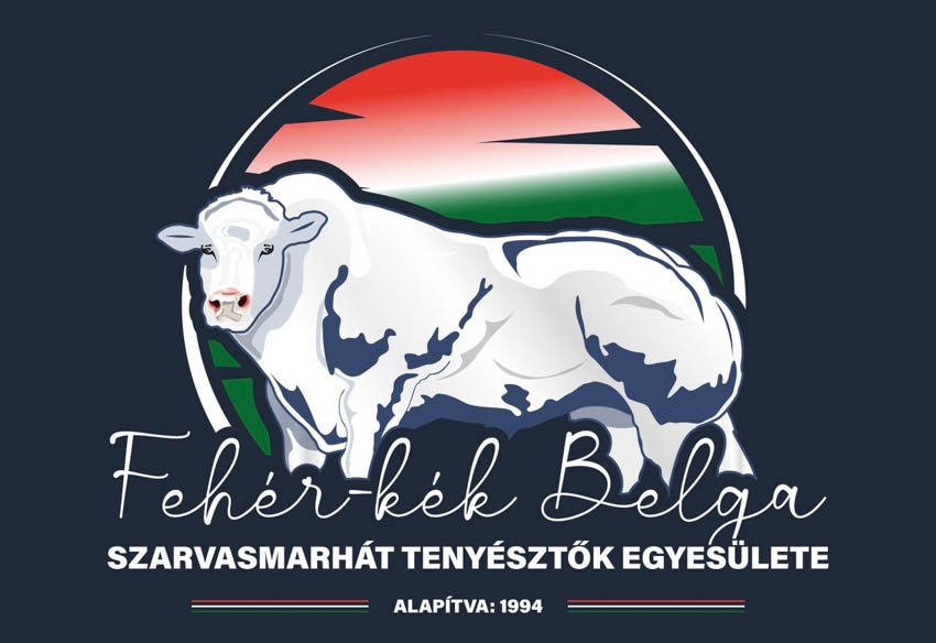 FEHÉR-KÉK BELGA ÉS WAGYU TENYÉSZTÉS