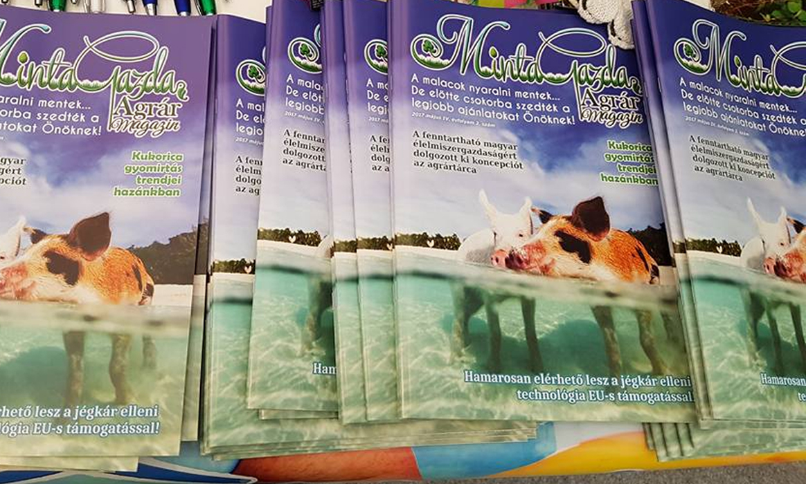 Queen Esküvő Magazin