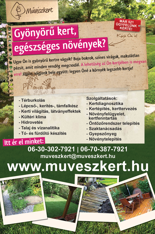 Művészkert - Gyönyörű kert egészséges növények