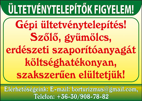 Szent Márton Pincészet Kft