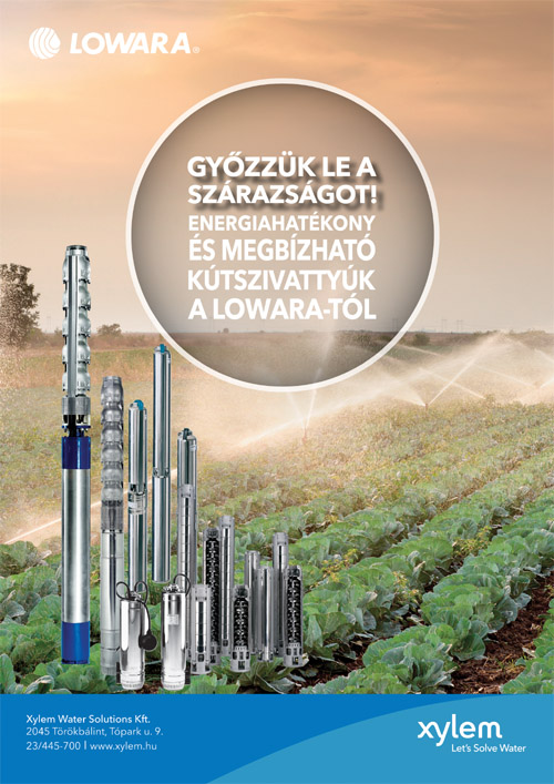 KÚTSZIVATTYÚ, LOWARA, Xylem Water Solutions Kft.; álló