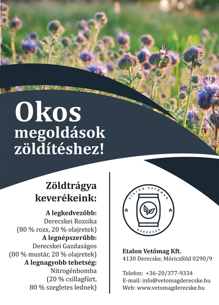 Okos megoldások zöldítéshez