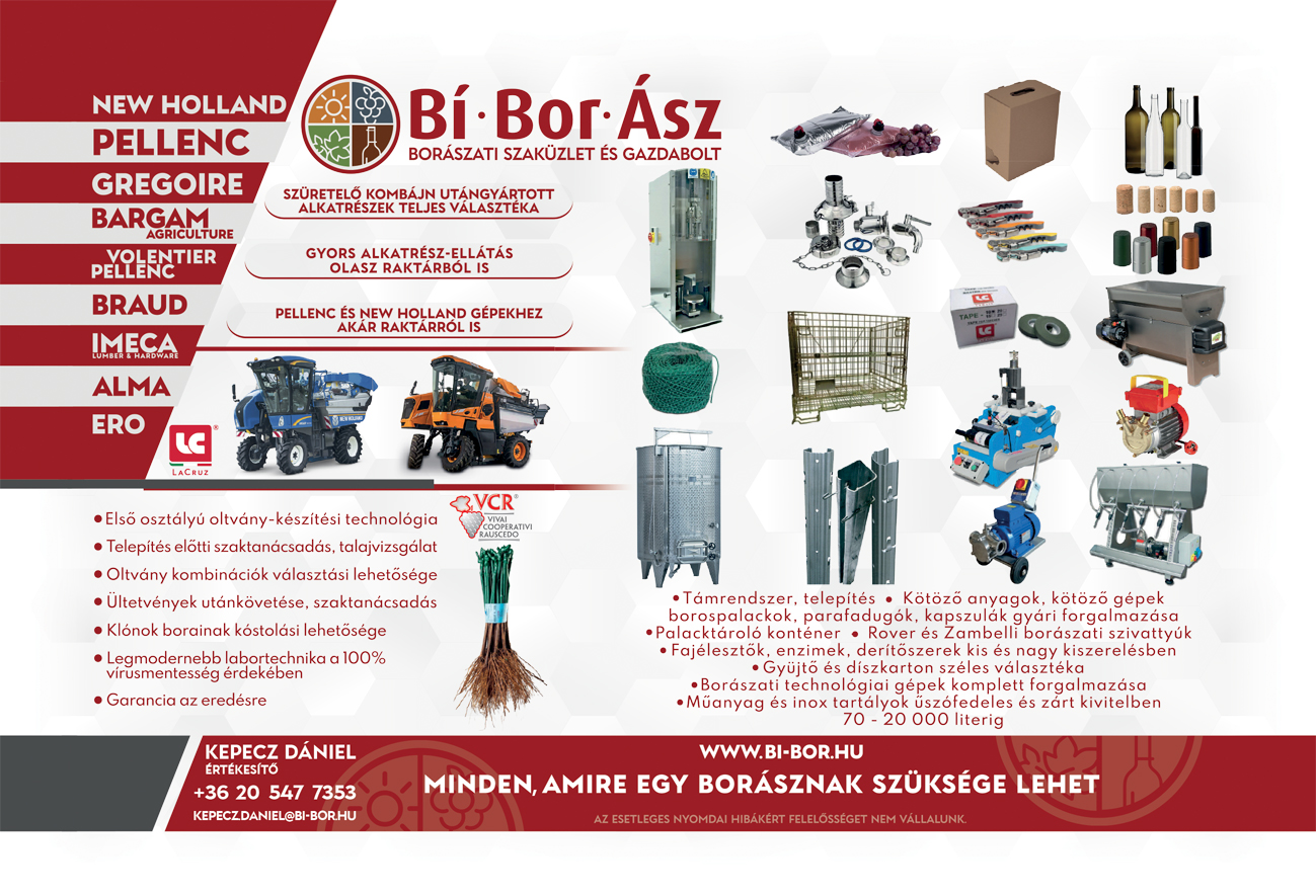 Borászati Szaküzlet Bí-Bor-Ász Kft.; fekvő