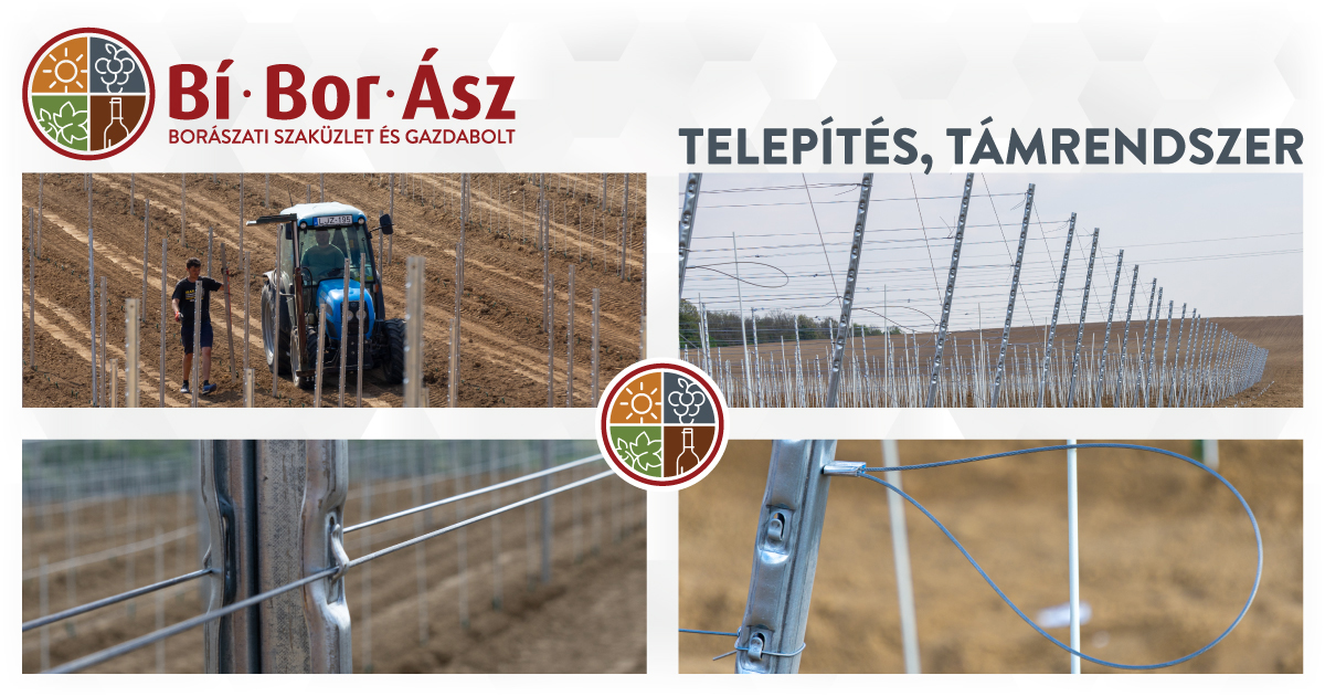 Borászati Szaküzlet Bí-Bor-Ász Kft.; fekvő