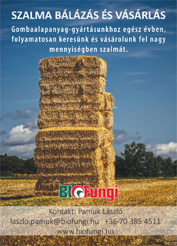Bio-Fungi Kft. Mezőgazdasági melléktermékből szuperélelmiszer