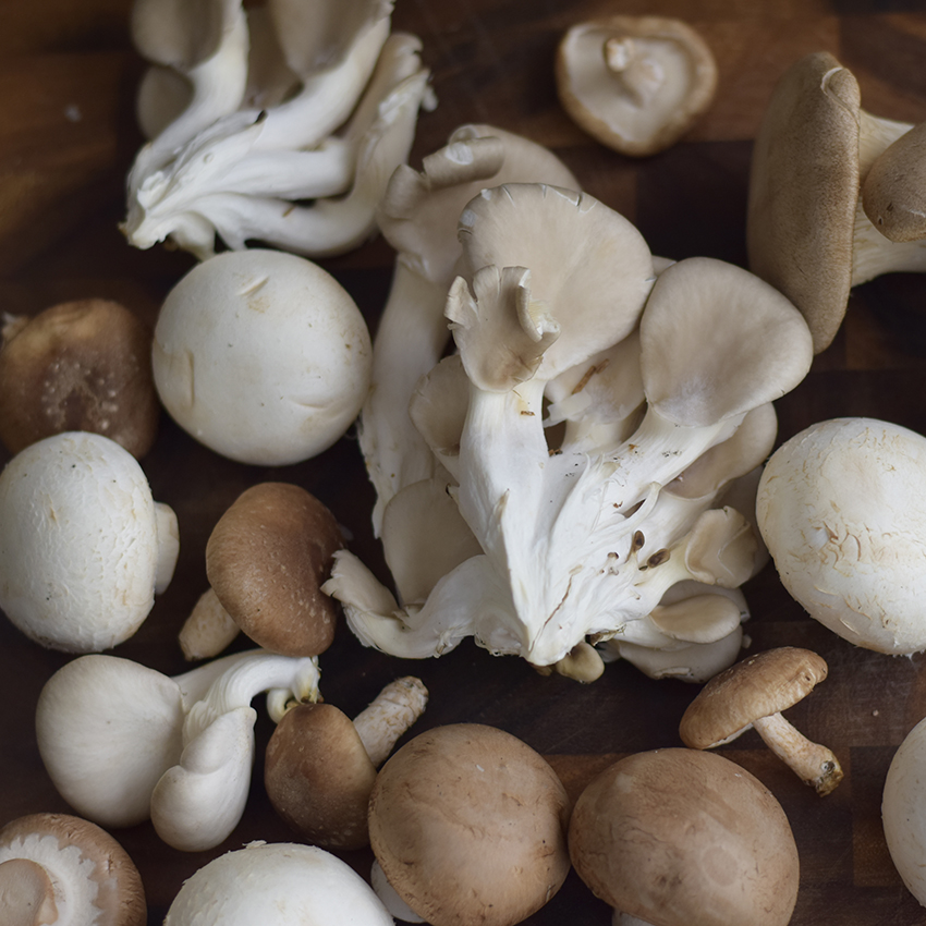 Bio-Fungi Kft. Mezőgazdasági melléktermékből szuperélelmiszer