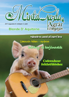 MintaGazda Magazin 2017 augusztus