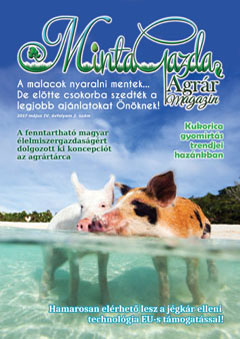 MintaGazda Magazin - online újság