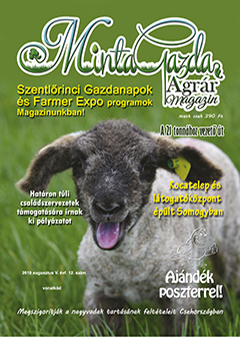MintaGazda Magazin 2018 augusztus