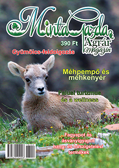 MintaGazda Magazin 2018 május