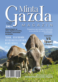 MintaGazda Magazin 2019 január