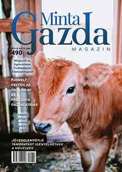 MintaGazda Magazin 2019 július