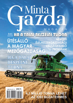 MintaGazda Magazin 2020 október