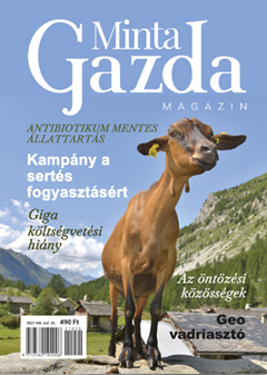 MintaGazda Magazin 2021 február