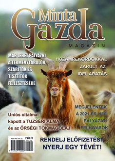 MintaGazda Magazin 2021 augusztus