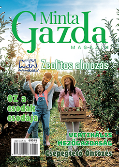 MintaGazda Magazin 2024 augusztus