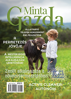 MintaGazda Magazin 2024 június