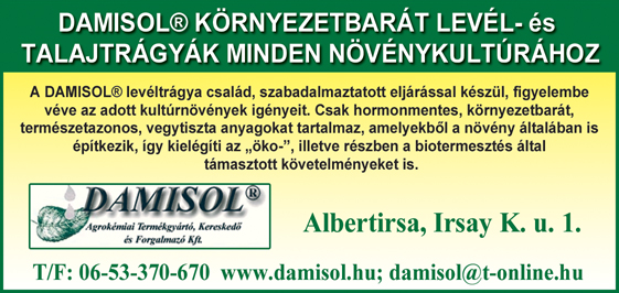 Damisol Kft.