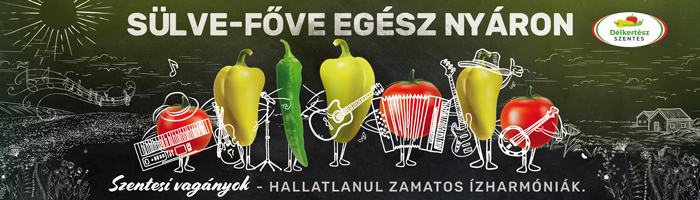 PAPRIKA,  PARADICSOM, TERMELŐ, MINŐSÉG, Délalföldi Kertészek Szövetkezete; álló