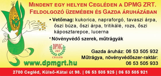 DPMG ZRT.