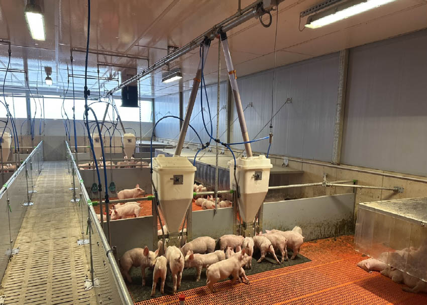 EMVA Kft.; Terménytároló, tisztító, szárító, precíziós gép, kertészeti gép támogatások