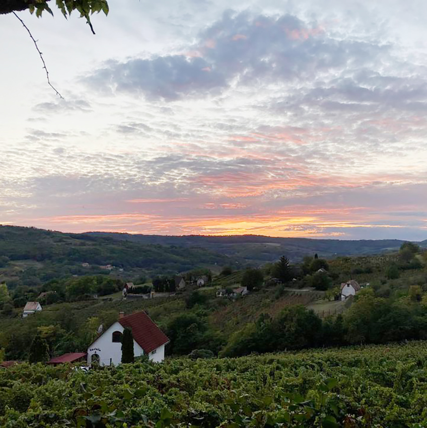 BOR, BORKÓSTOLÓ, RENDEZVÉNYSZERVEZÉS, SZEKSZÁRDI BOR, Fekete Borpince