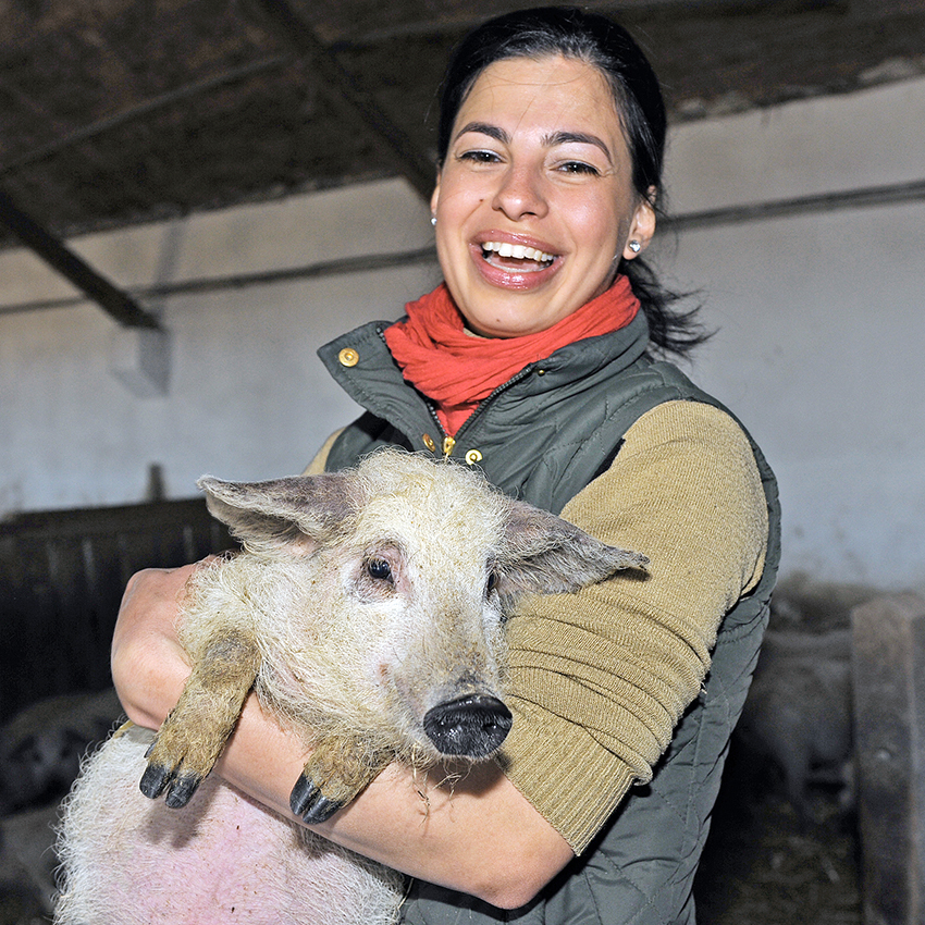 ﻿Fekete Zsóka Mangalica Farm
