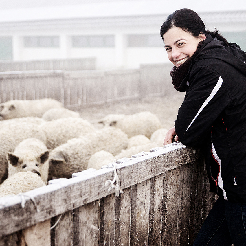 ﻿Fekete Zsóka Mangalica Farm