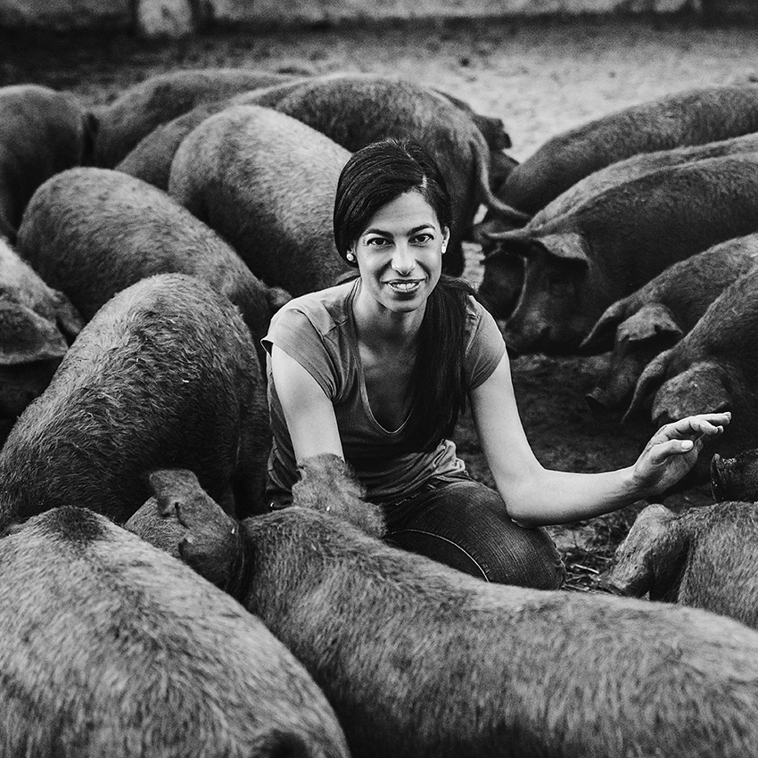 ﻿Fekete Zsóka Mangalica Farm