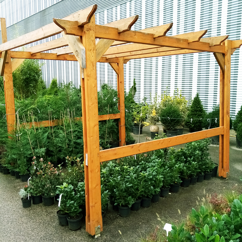 KERT, DÍSZNÖVÉNYEK, ÖRÖKZÖLDEK, CSERJÉK, GYÜMÖLCSFÁK, Fenyő kert - HORTUSVITaE Kft.; negyed