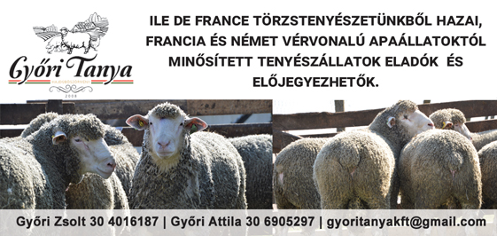Győri Tanya Kft. Ile de france törzstenyészet
