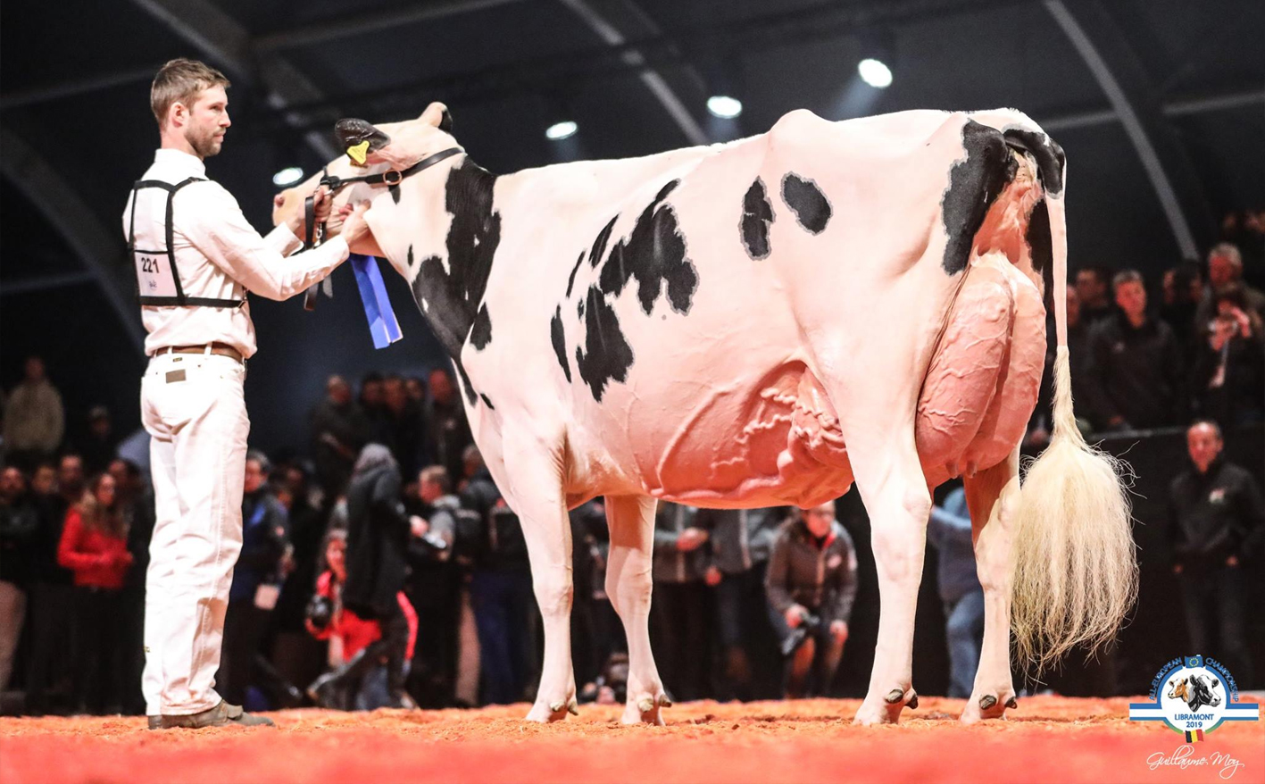 Holstein Genetika Kft. előfürösztők, utófürösztők