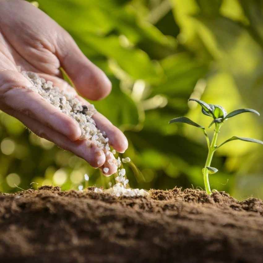 ICL Specialty Fertilizers