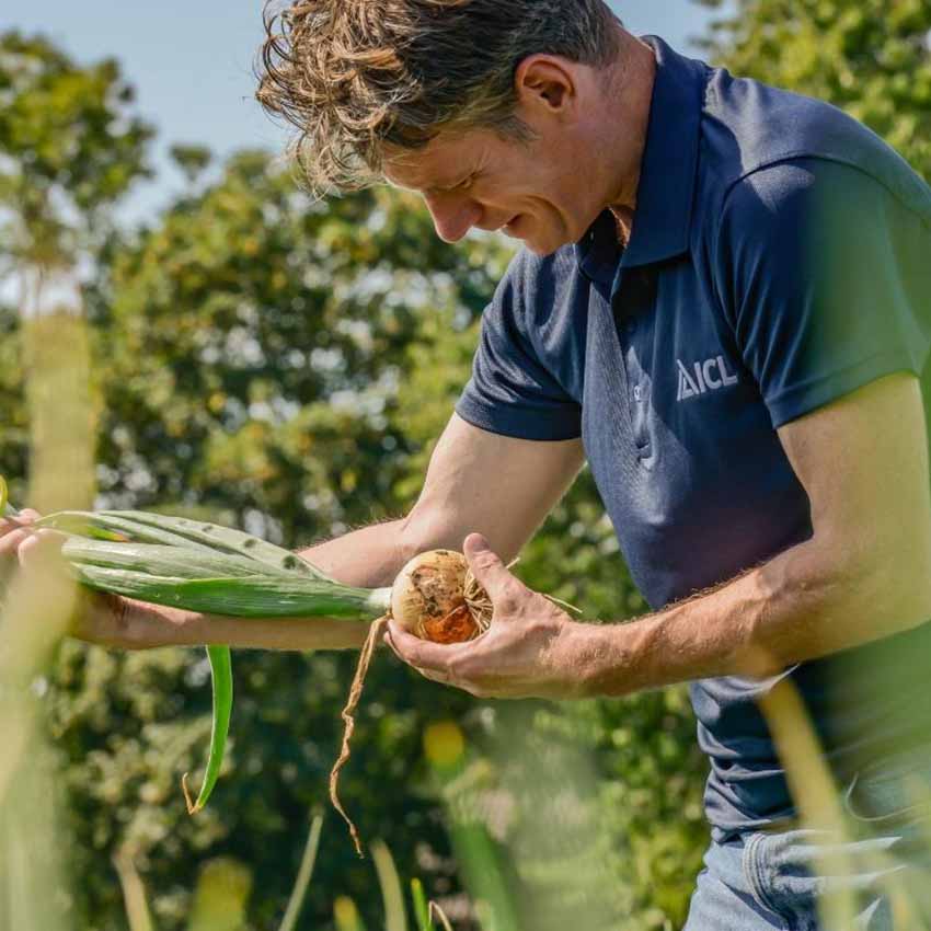 Takarmány-növények tápanyag-utánpótlásának új, természetes módszere ICL Specialty Fertilizers