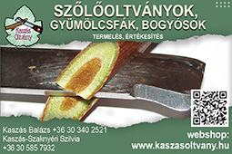 Szőlőoltvány és gyümölcsfa termelés, értékesítés, Kaszás Oltvány