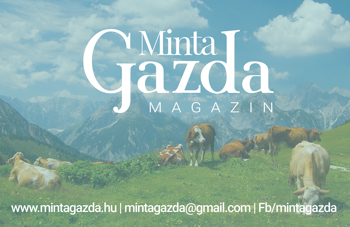 Mintagazda Magazin Médiaajánlat