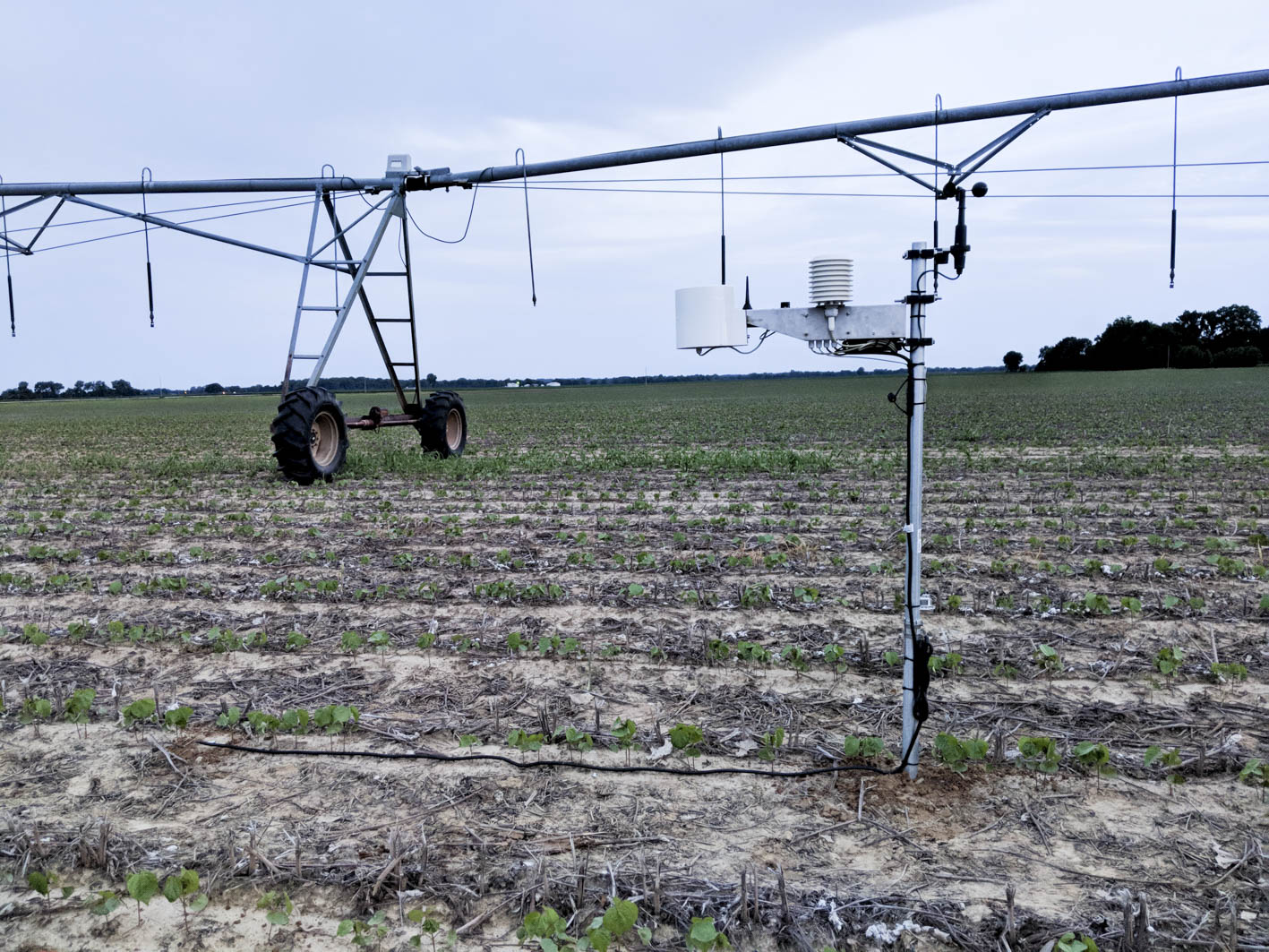 METOS by Pessl Instruments, Az iMETOS rendszerek az intelligens gazdálkodást, ami korábban 
						  „csak egy ötlet” volt, mára a valóságba hozza.