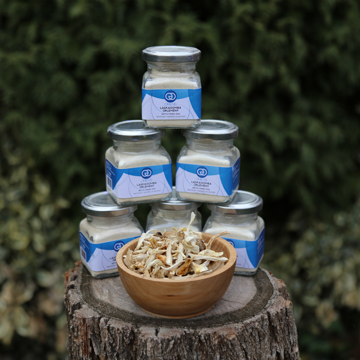 Gyógygomba, gyógygomba webshop, laskagomba, shiitake gomba, ganoderma gomba, gyógygomba szárítmány, gyógygomba őrlemény
						  shiitake szárítmány, shiitake őrlemény