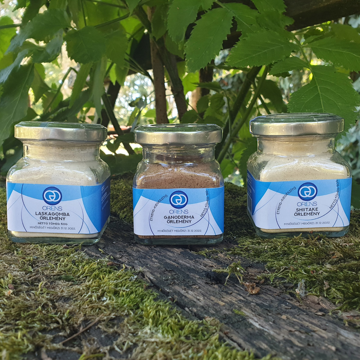 Gyógygomba, gyógygomba webshop, laskagomba, shiitake gomba, ganoderma gomba, gyógygomba szárítmány, gyógygomba őrlemény
						  shiitake szárítmány, shiitake őrlemény