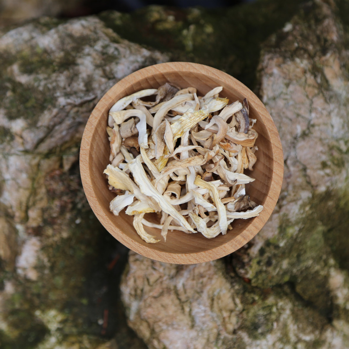 Gyógygomba, gyógygomba webshop, laskagomba, shiitake gomba, ganoderma gomba, gyógygomba szárítmány, gyógygomba őrlemény
						  shiitake szárítmány, shiitake őrlemény