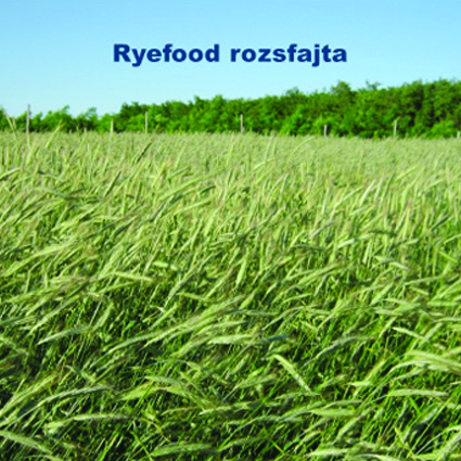 RAGT-Zöldítő portfólió 2021