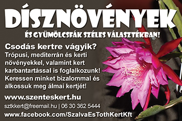 Szalva és Tóth Kert Kft. - Dísznövények és gyümölcsfák széles választékban!