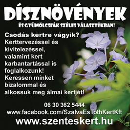 Szalva és Tóth Kert Kft.